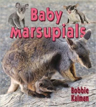 Title: Baby Marsupials, Author: Bobbie Kalman