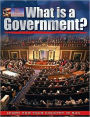 What is a Government?