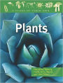 Plants: Flowering Plants, Ferns, Mosses, and Other Plants