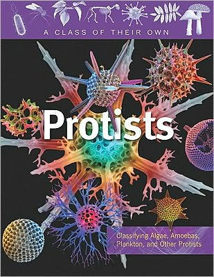 Protists: Algae, Amoebas, Plankton, and Other Protists