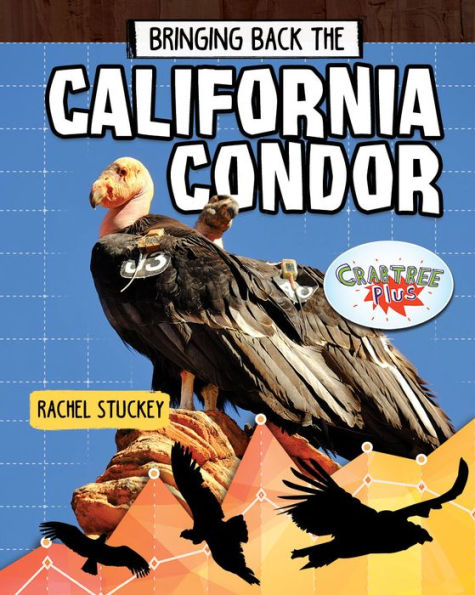 Bringing Back the California Condor