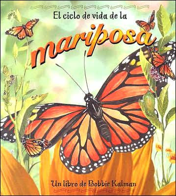 El ciclo de vida de la mariposa