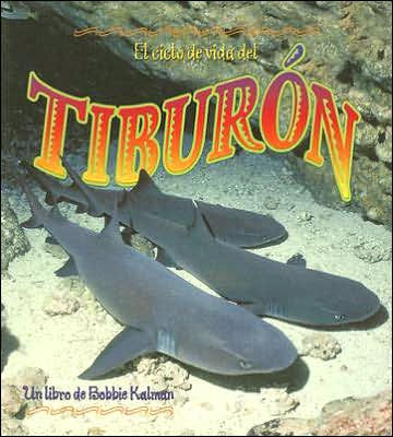 El ciclo de vida del tiburon (The Life Cycle of the Shark)