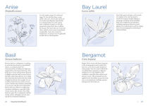 Alternative view 6 of Aromatherapy with Essential Oil Diffusers: For Everyday Health and Wellness