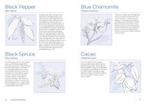 Alternative view 8 of Aromatherapy with Essential Oil Diffusers: For Everyday Health and Wellness