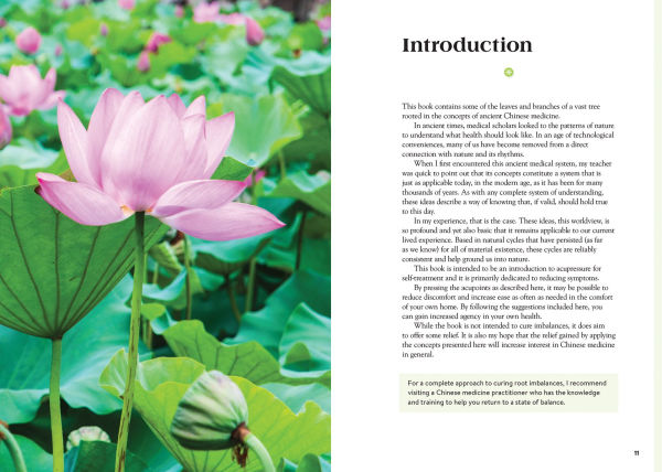 The Beginner's Guide to Acupressure: DIY Steps for Self-Care