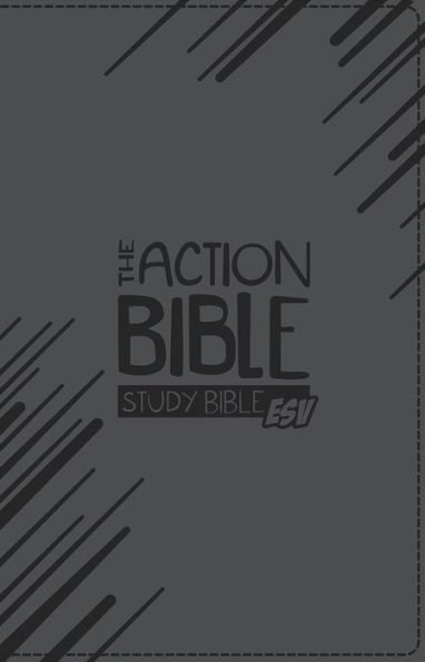 The Action Bible Study Bible ESV (Gray)