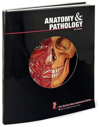 Anatomy And Pathology The World S Best Anatomical Charts