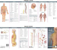 Title: Anatomical Chart Company's Illustrated Pocket Anatomy: The Spinal Nerves & the Autonomic Nervous System Study Guide / Edition 2, Author: Anatomical Chart Company