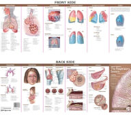 Title: Anatomical Chart Company's Illustrated Pocket Anatomy: Anatomy & Disorders of The Respiratory System Study Guide / Edition 2, Author: Anatomical Chart Company