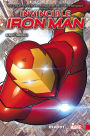 Invincible Iron Man Vol. 1: Reboot