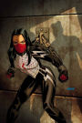 Silk Vol. 2: The Negative