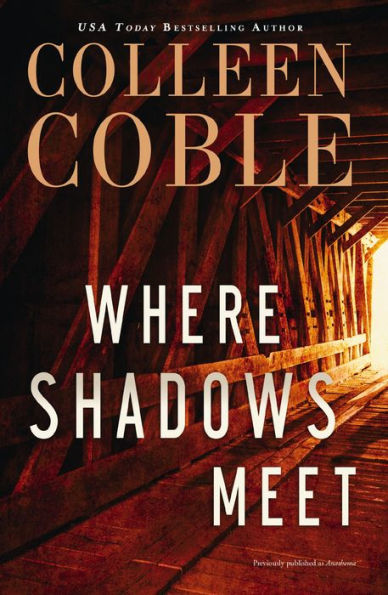 Where Shadows Meet: A Romantic Suspense Novel