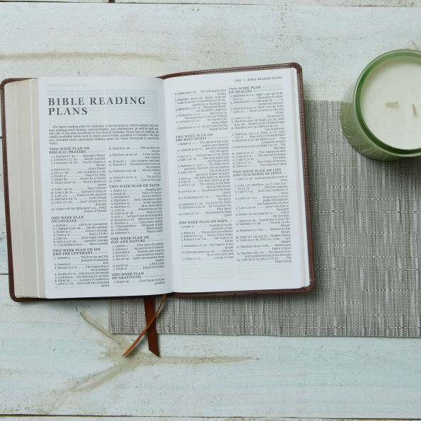 NRSV Catholic Edition Gift Bible, Leathersoft (Comfort Print, Holy Bible, Complete Catholic Bible