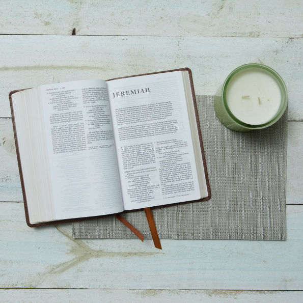 NRSV Catholic Edition Gift Bible, Leathersoft (Comfort Print, Holy Bible, Complete Catholic Bible