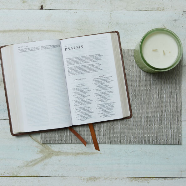 NRSV Catholic Edition Gift Bible, Leathersoft (Comfort Print, Holy Bible, Complete Catholic Bible