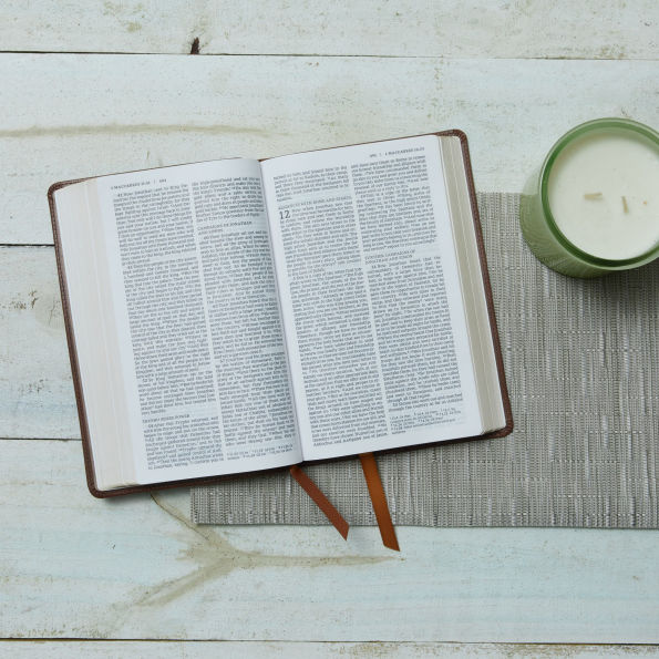 NRSV Catholic Edition Gift Bible, Leathersoft (Comfort Print, Holy Bible, Complete Catholic Bible