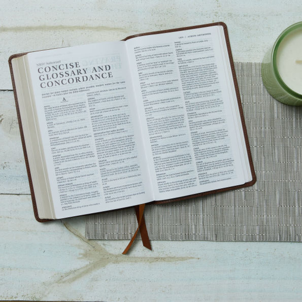 NRSV Catholic Edition Gift Bible, Leathersoft (Comfort Print, Holy Bible, Complete Catholic Bible