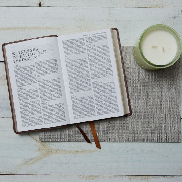 NRSV Catholic Edition Gift Bible, Leathersoft (Comfort Print, Holy Bible, Complete Catholic Bible