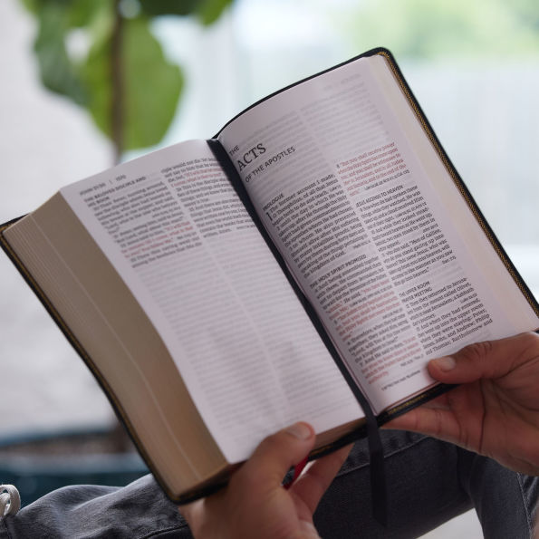 NKJV, End-of-Verse Reference Bible, Personal Size Large Print, Leathersoft, Pink, Thumb Indexed, Red Letter, Comfort Print: Holy Bible, New King James Version