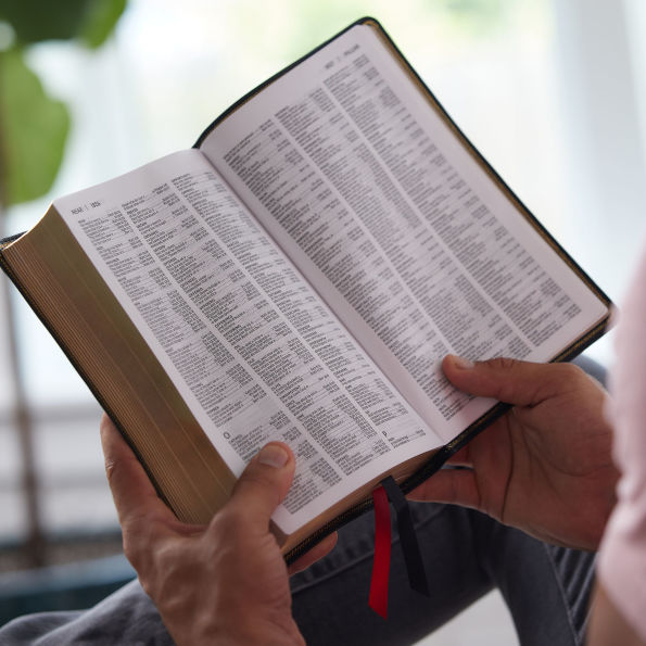 NKJV, End-of-Verse Reference Bible, Personal Size Large Print, Leathersoft, Pink, Thumb Indexed, Red Letter, Comfort Print: Holy Bible, New King James Version