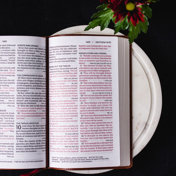 NKJV, Deluxe End-of-Verse Reference Bible, Personal Size Large Print, Leathersoft, Black, Red Letter, Comfort Print: Holy Bible, New King James Version