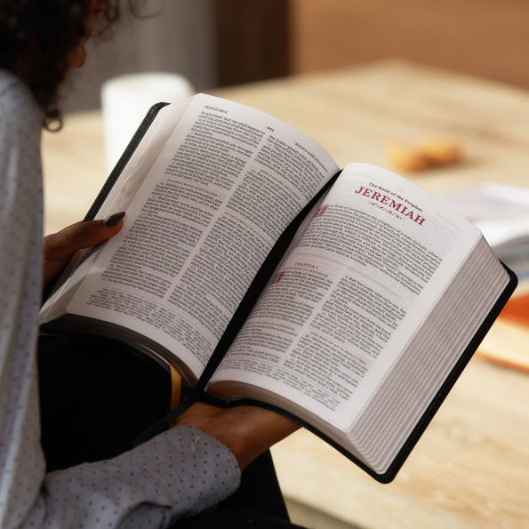 KJV, Personal Size Reference Bible, Sovereign Collection, Leathersoft, Brown, Red Letter, Comfort Print: Holy Bible, King James Version