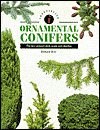 Identifying Guide to Ornamental Conifers (Identifying Guide Series)