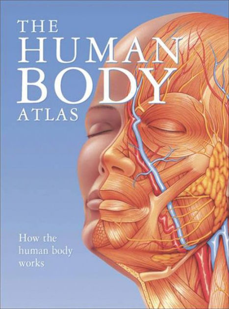 Human Body Atlas by Staff of Chartwell Books, Hardcover | Barnes & Noble®