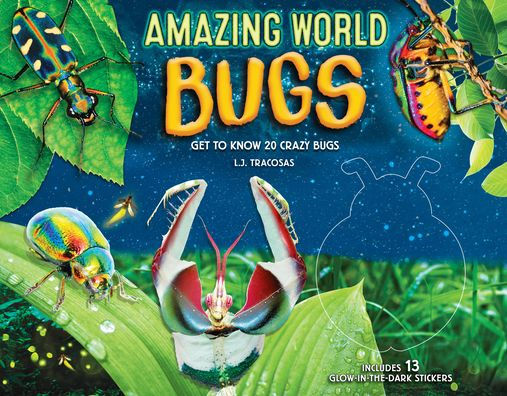 Amazing World: Bugs: Get to Know 20 Crazy Bugs
