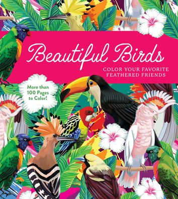 Beautiful Birds Coloring Book