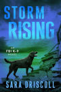 Storm Rising