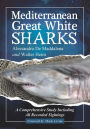 Mediterranean Great White Sharks: A Comprehensive Study Including All Recorded Sightings