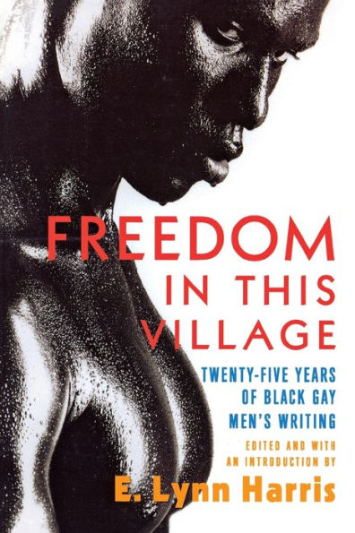 Freedom in This Village: Twenty-Five Years of Black Gay Men's Writing