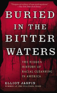 Title: Buried in the Bitter Waters: The Hidden History of Racial Cleansing in America, Author: Elliot Jaspin