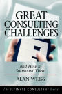 Great Consulting Challenges: And How to Surmount Them / Edition 1