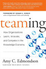 Teaming: How Organizations Learn