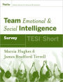 Team Emotional and Social Intelligence (TESI Short) / Edition 1
