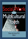 Social Work with Multicultural Youth / Edition 1