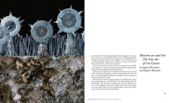 Alternative view 3 of Leo Lionni: Storyteller, Artist, Designer
