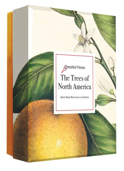 The Trees of North America: A Detailed Notes notecard box