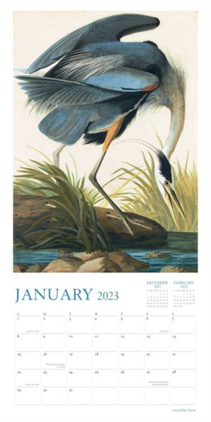 2023 Audubon's Watercolors 2023 Wall Calendar by New-York Historical ...