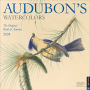 Audubon's Watercolors 2024 Wall Calendar