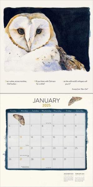 The Lost Spells 2025 Wall Calendar