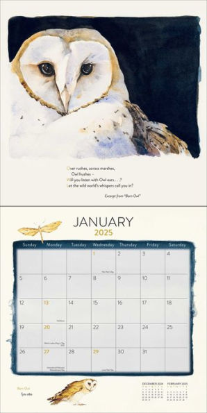 The Lost Spells 2025 Wall Calendar