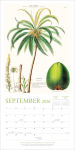 Alternative view 2 of The New York Botanical Garden 2026 Wall Calendar