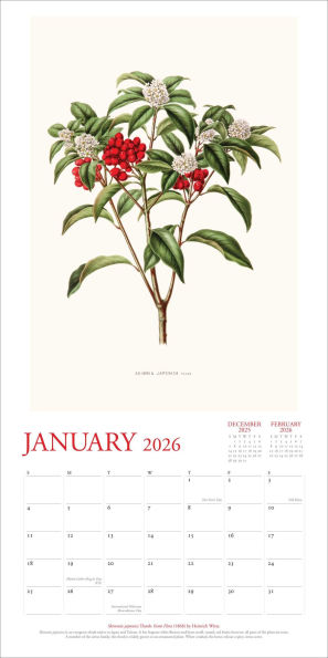 The New York Botanical Garden 2026 Wall Calendar