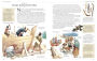 Alternative view 2 of Illustrated Family Bible: Understanding the Greatest Story Ever Told