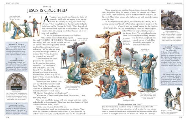 Illustrated Family Bible: Understanding the Greatest Story Ever Told