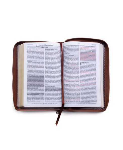 Santa Biblia de Promesas Reina-Valera 1960 / Tamaño Manual / Letra Grande / Piel Especial con Cierre / Café // Spanish Promise Bible RV60 / Handy Size / Large Print / Leathersoft with Zipper / Brown